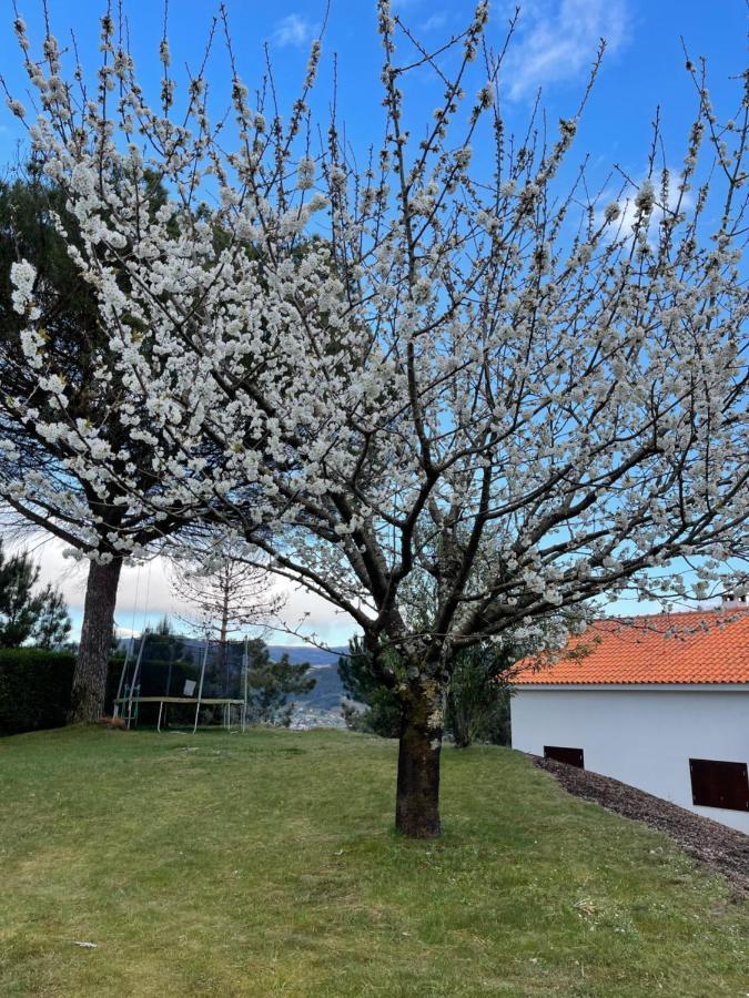 Casa Catita - Douro Villa Baião Dış mekan fotoğraf